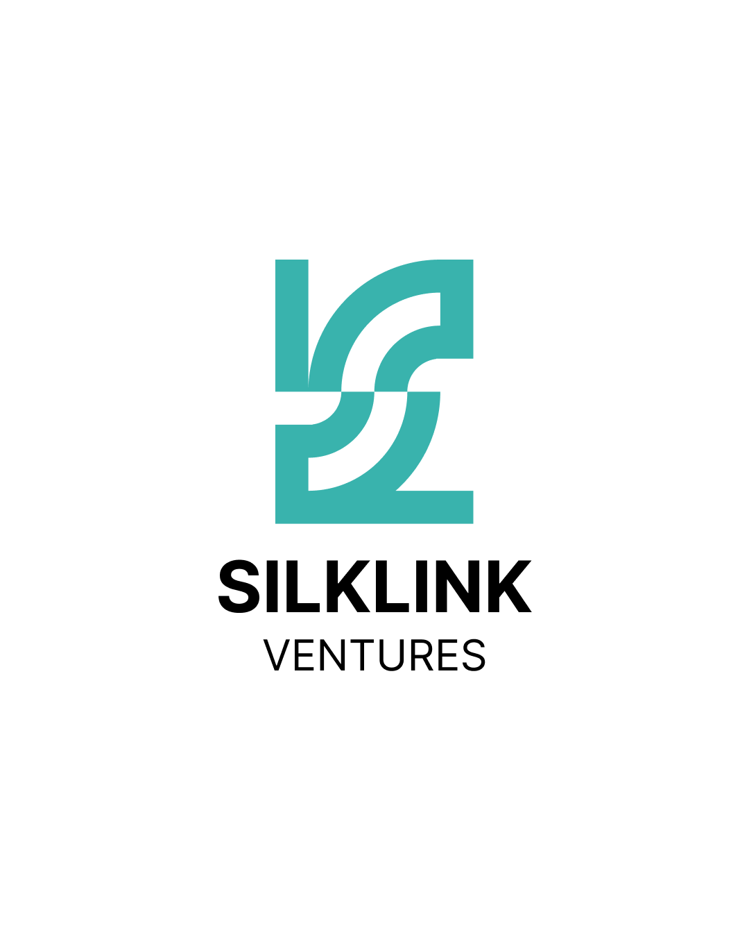 SilkLink Ventures logo